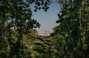 Cidade de São Paulo e uma nuvem de poluição vista do Parque Estadual da Cantareira.