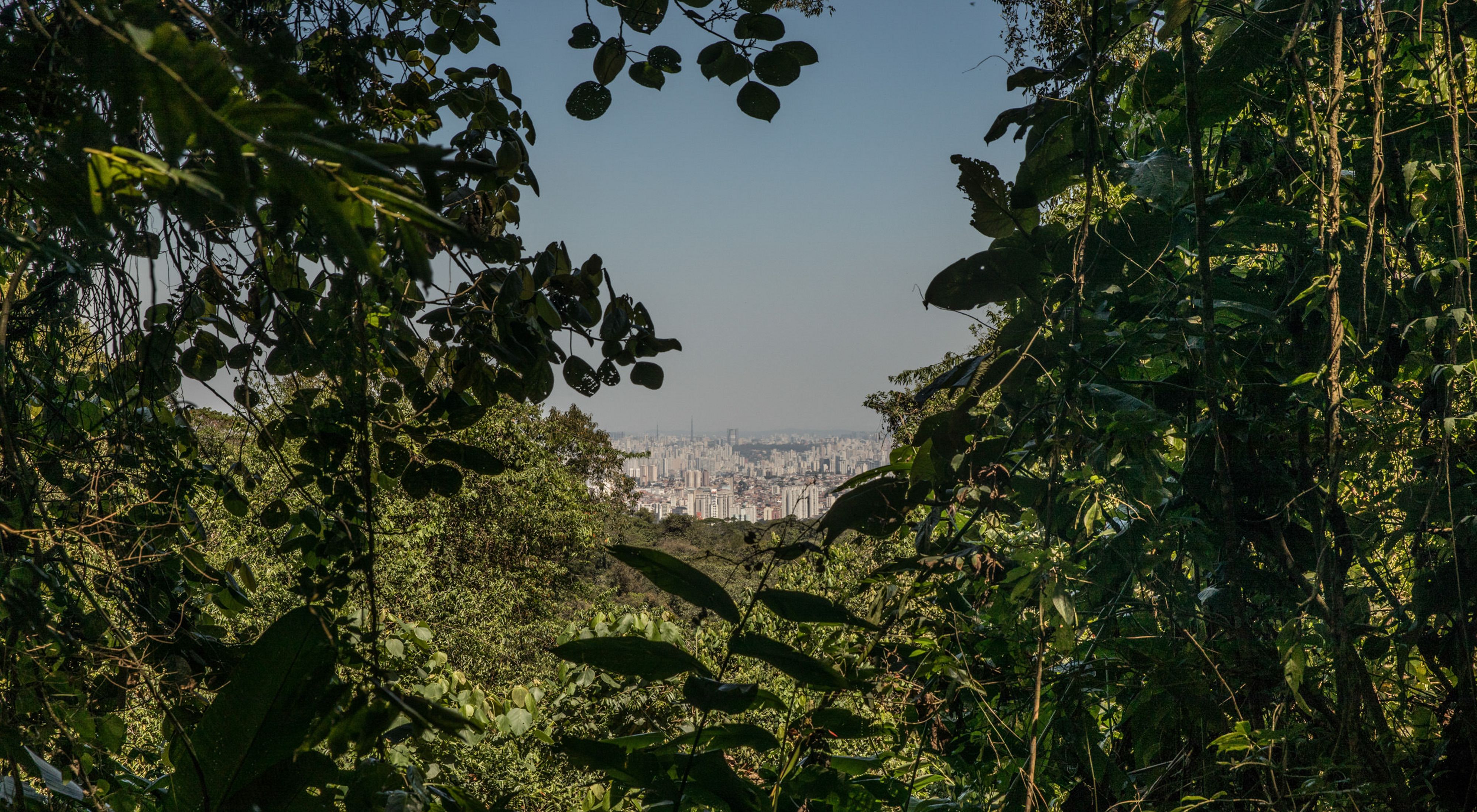 Cidade de São Paulo e uma nuvem de poluição vista do Parque Estadual da Cantareira.