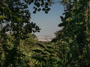 Cidade de São Paulo e uma nuvem de poluição vista do Parque Estadual da Cantareira.