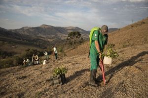 equipe trabalhando em atividade de plantio
