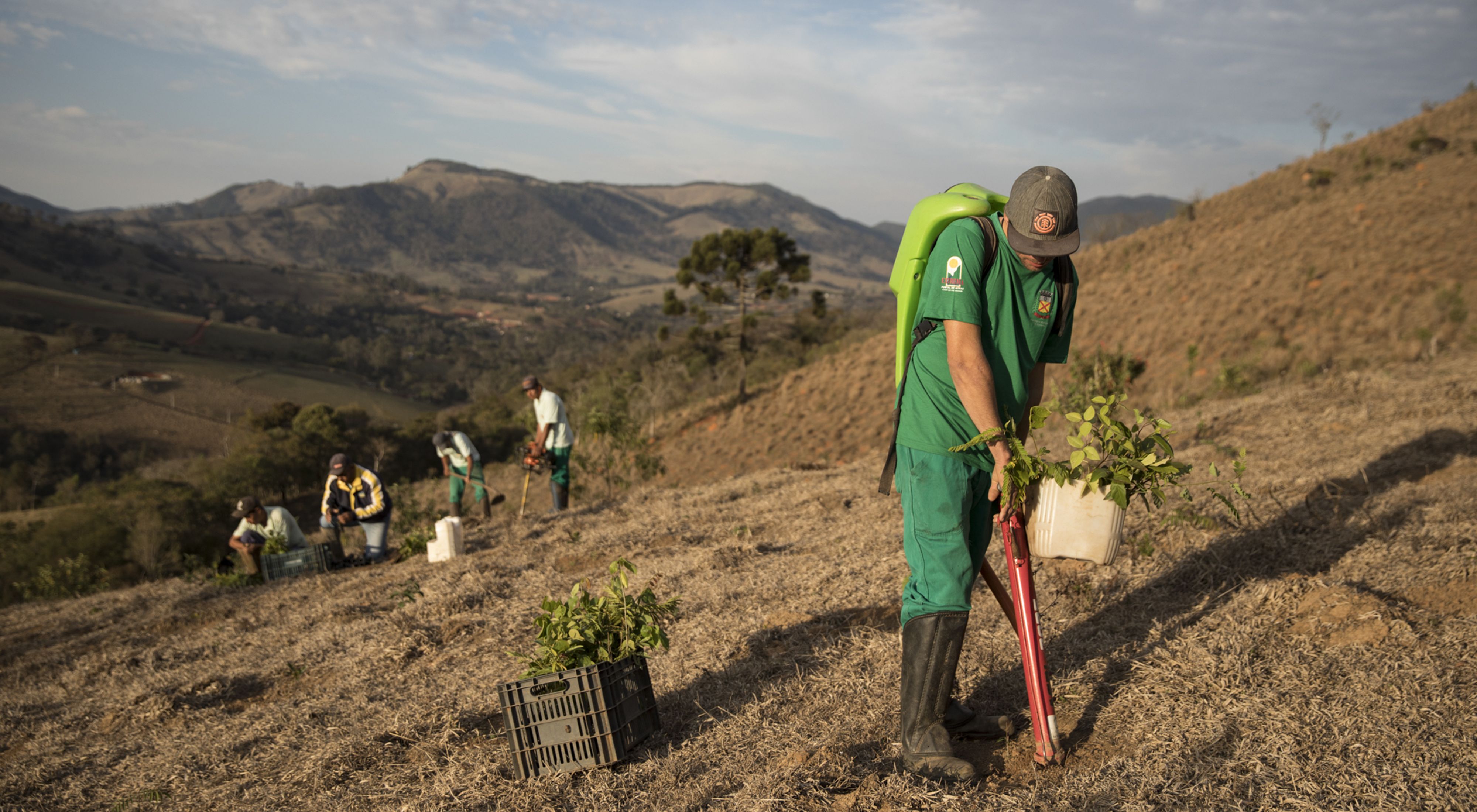 Equipe do projeto Conservador das Águas, da prefeitura de Extrema-MG, em atividade de restauração em plantio total, plantando em média mais de mil mudas por dia.