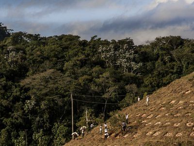 Para aumentar a escala da restauração florestal é preciso trabalhar em parceria com organizações e governos locais, mostrando os benefícios para a população e produtores.