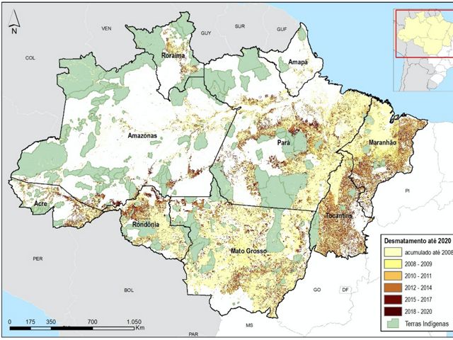 Observando o mapa de desmatamento da Amazônia é possível notar que as áreas onde não existe desmatamento geralmente são Terras Indígenas.