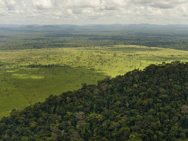 Vista aérea de área desmatada na região de São Félix do Xingu, próximo a a vegetação nativa conservada. 