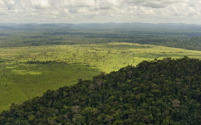 vista aérea da floresta amazônica dividida ao meio por um extenso campo desmatado