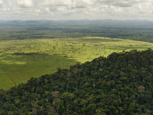Vista aérea de área desmatada na região de São Félix do Xingu, próximo a a vegetação nativa conservada. 