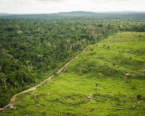 Image aérea de fronteira entre área protegida e área de produção.