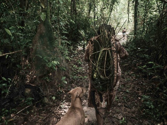Indígena Parakanã em expedição para coletar matéria-prima para artesanato produzido pela comunidade na Terra Indígena Apyterewa, no sul do Pará.