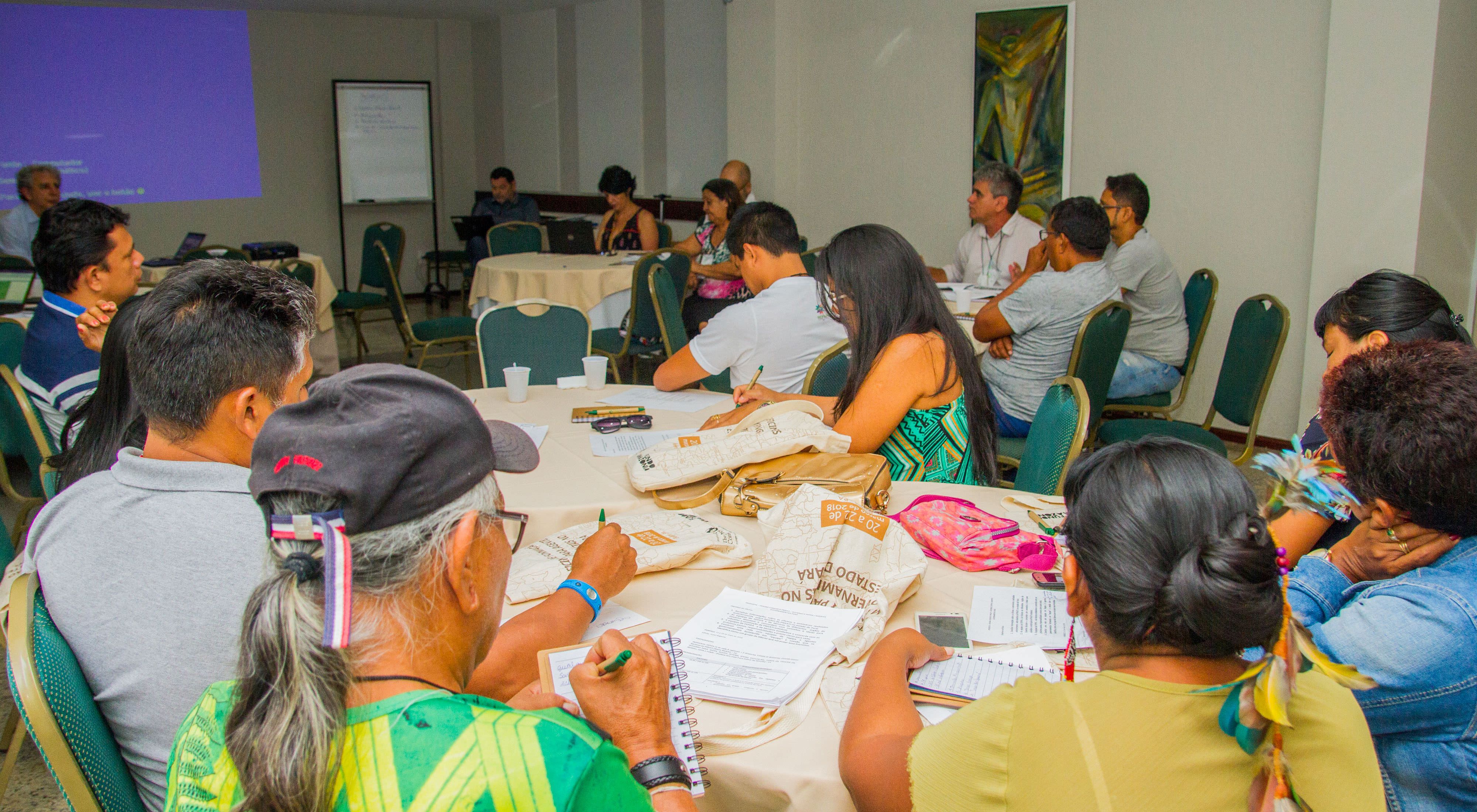 Oficina sobre PNGATI para agentes governamentais e FEPIPA no Pará