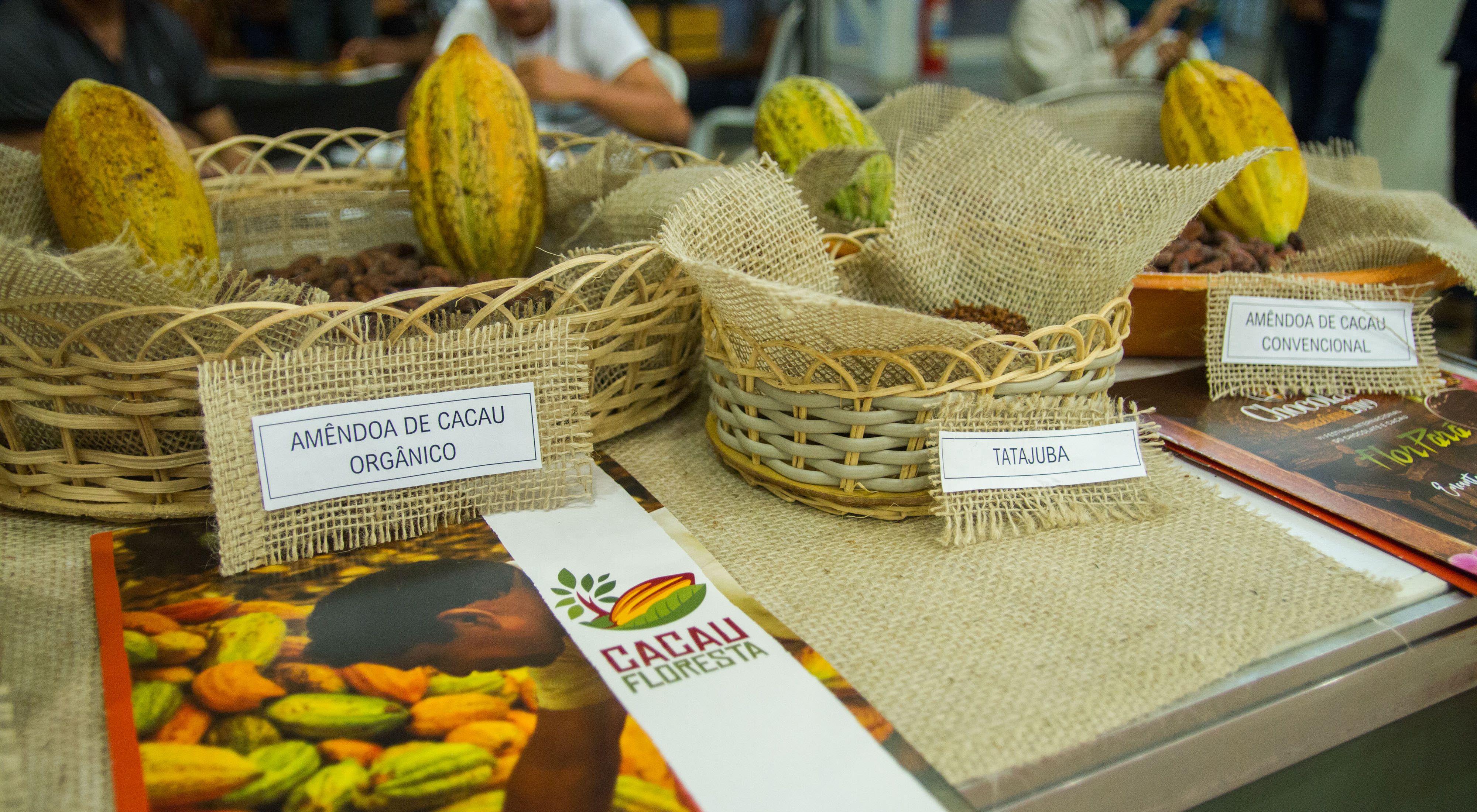 Agricultores e especialistas puderam trocar experiências sobre agroflorestas de cacau durante o Festival do Chocolate 2019.