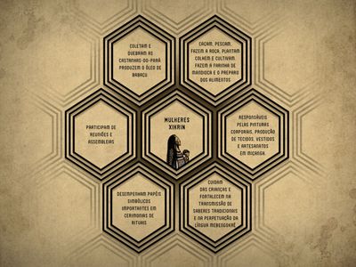 Gráfico descrevendo funções exercidas pelas mulheres do povo indígena Xikrin.