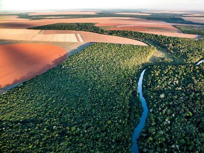 Área de Preservação Permanente próximio a margem de rio em propriedade rural de Lucas do Rio Verde-MT.