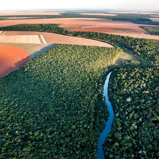 Área de Preservação Permanente próximio a margem de rio em propriedade rural de Lucas do Rio Verde-MT.