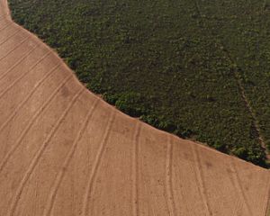 Agriculture area with protected forest.