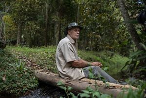 Itamar da Silva sentado em córrego ao lado de área de plantio em sistemas agroflorestais, com espécies frutíferas junto a árvores de grande porte nativas da Mata Atlântica.
