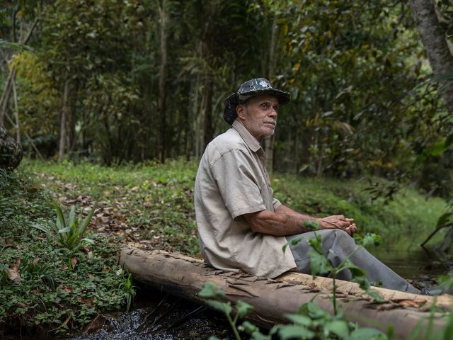 Itamar da Silva sentado em córrego ao lado de área de plantio em sistemas agroflorestais, com espécies frutíferas junto a árvores de grande porte nativas da Mata Atlântica.