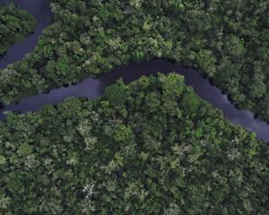 Imagem aérea de rio na floresta da Amazônia.