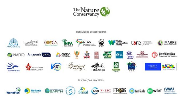 Logotipos das instituições que participaram do relatório.