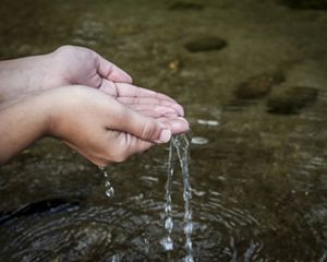 Pessoa lavando as mãos em nascente do Rio Guandu, no distrito de Lídice, em Rio Claro-RJ.