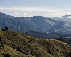 Ecossistemas da mantiqueira