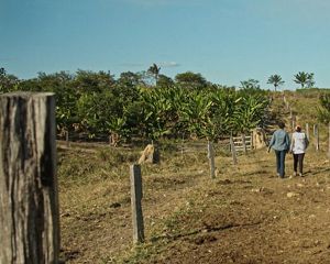 Segurança alimentar e nutricional