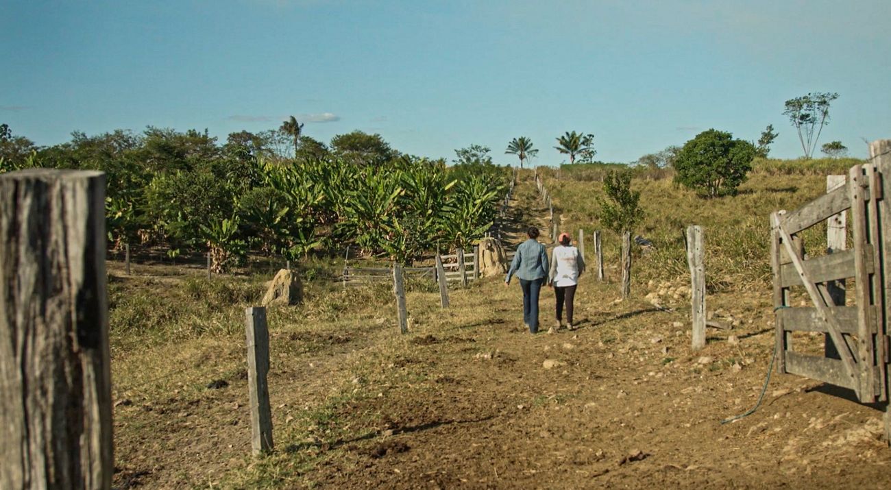 Mulheres e agroflorestas