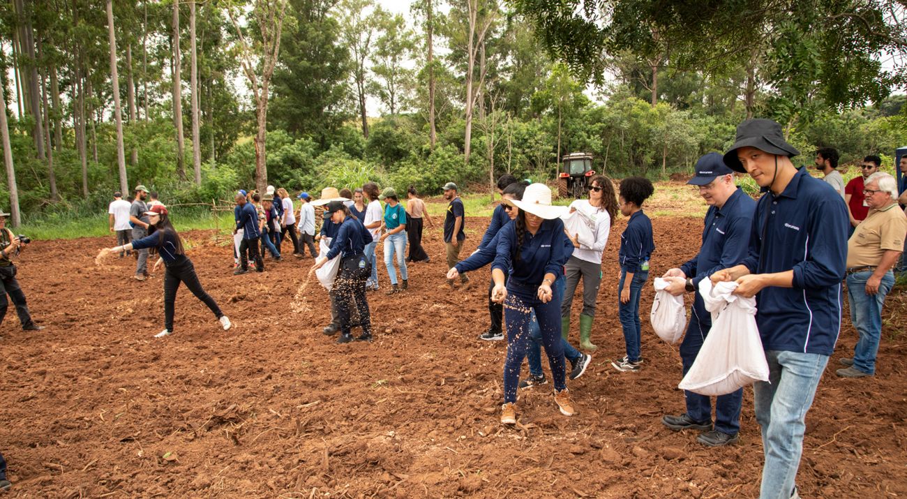 agrofloresta