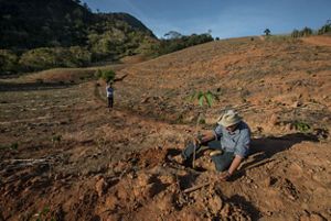 O agricultor Adolfo Litting, restaurando a propriedade rural da família, que hoje trabalha com plantio em sistemas agroflorestais em Afonso Cláudio, no Espírito Santo.
