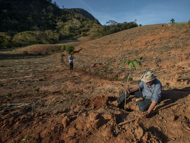 O agricultor Adolfo Litting, restaurando a propriedade rural da família, que hoje trabalha com plantio em sistemas agroflorestais em Afonso Cláudio, no Espírito Santo.