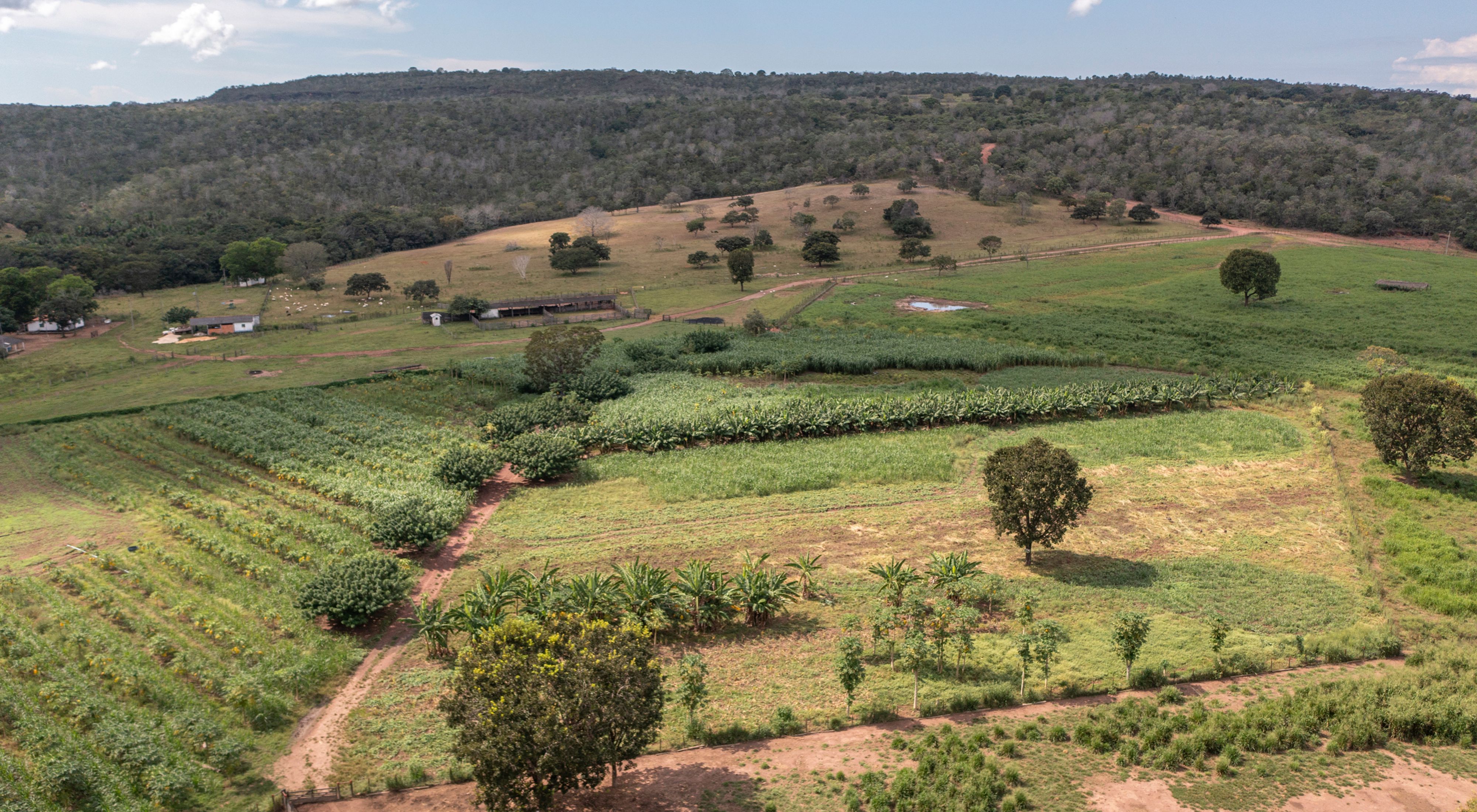 Aerial view of rural property in Mato Grosso state, Brazil.