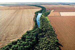 Vista aérea de uma plantação de soja dividida ao meio por um rio cercado de mata verde.