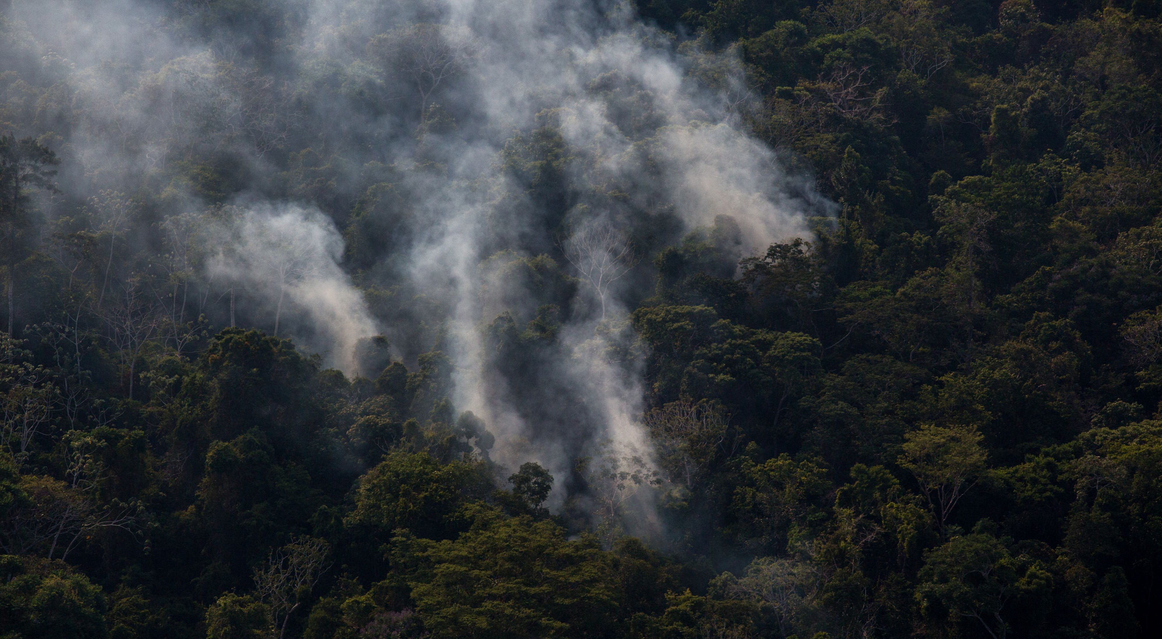 Incêndio em floresta próximo ao Rio Tapajós, em Santarém-PA, no ano de 2017.