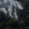 Incêndio em floresta próximo ao Rio Tapajós, em Santarém-PA, no ano de 2017.