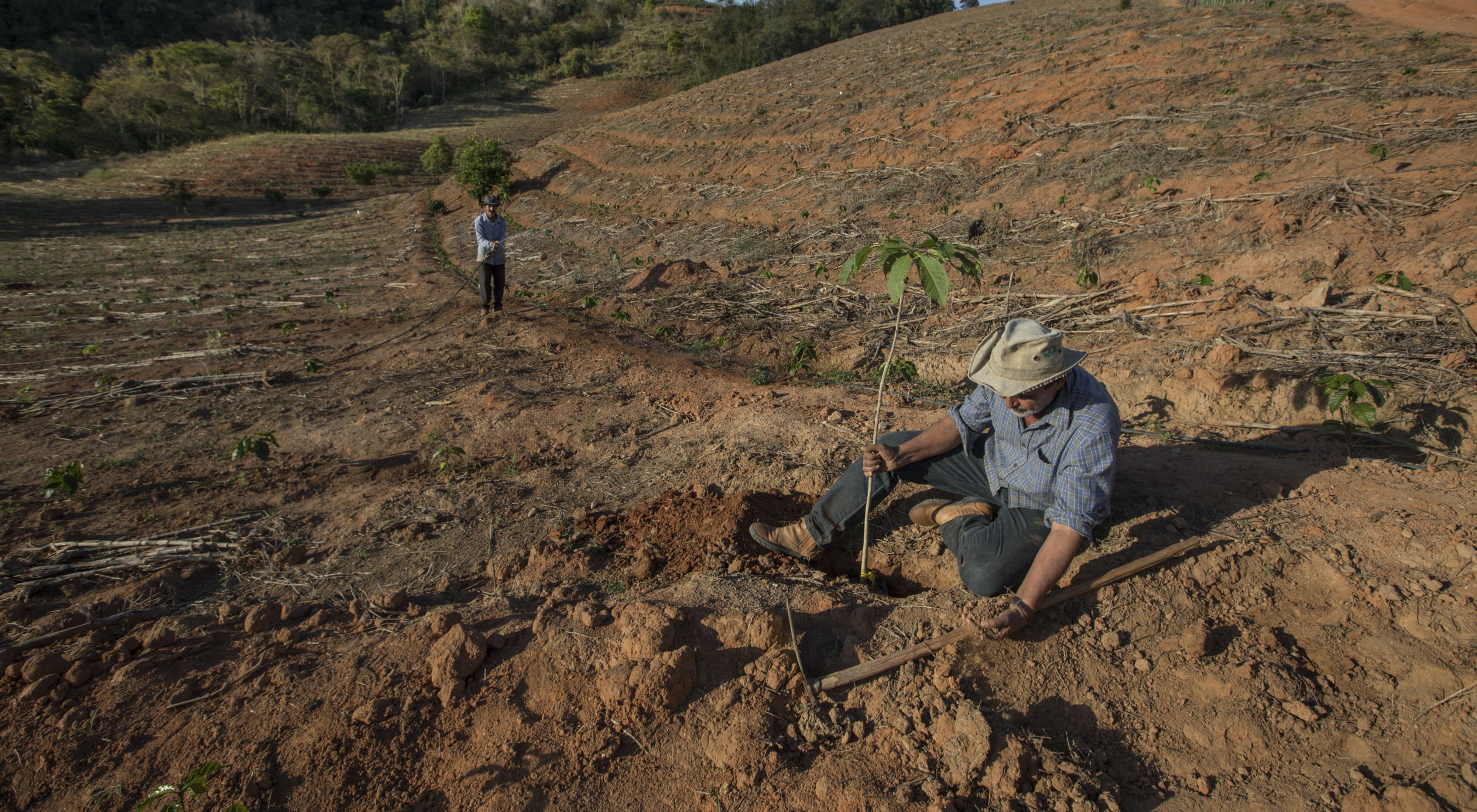 Adolfo Littig plantando árvores nativas em meio a sua área de produção, para cultivo em agroflorestas, em sua propriedade rural em Afonso Cláudio-ES.