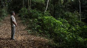 Proprietário rural do Espírito Santo olhando para a floresta.