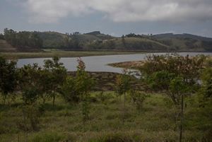 Reservatório com as margens em fase de restauração, em Salesópolis-SP.