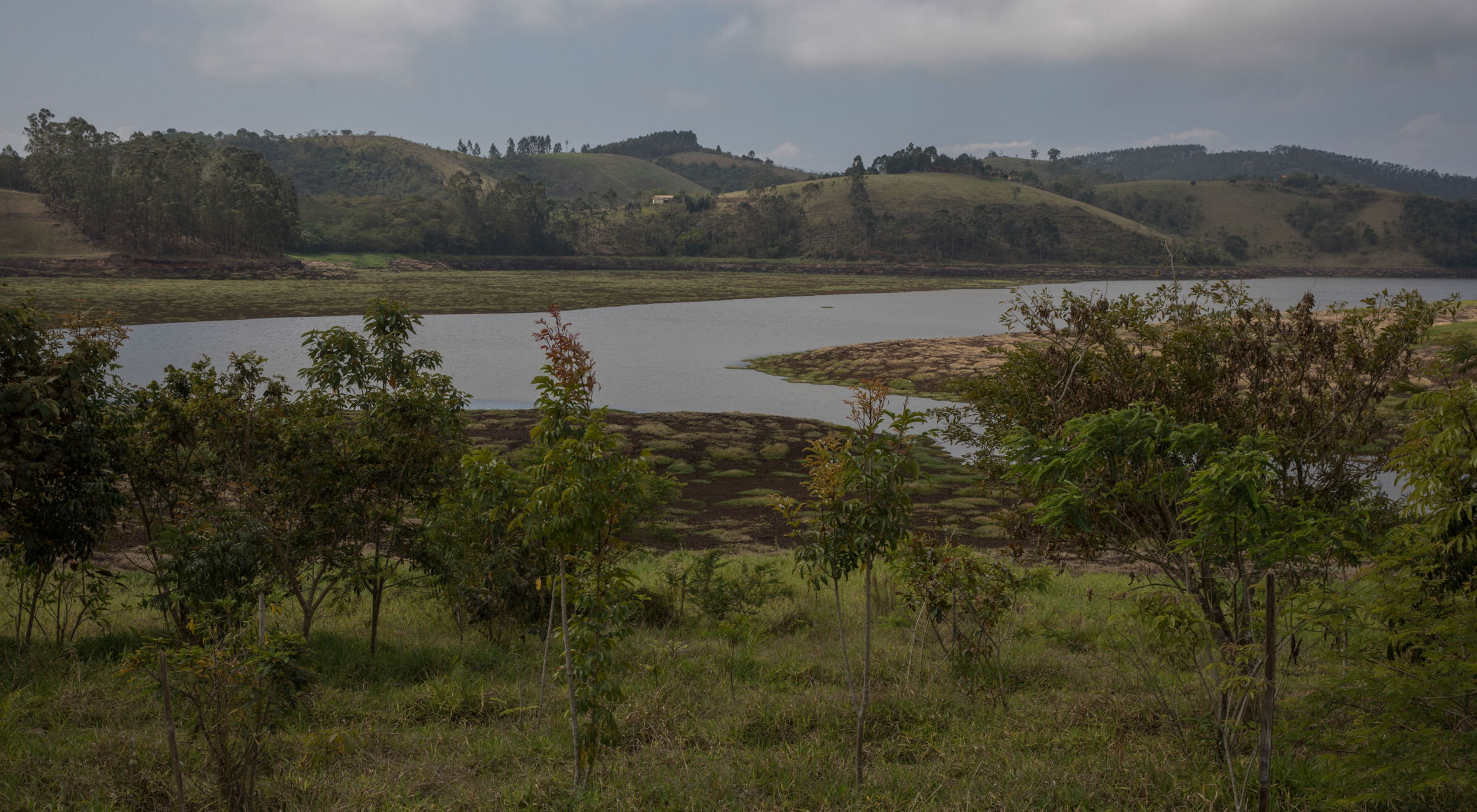 Reservatório com as margens em fase de restauração, em Salesópolis-SP.