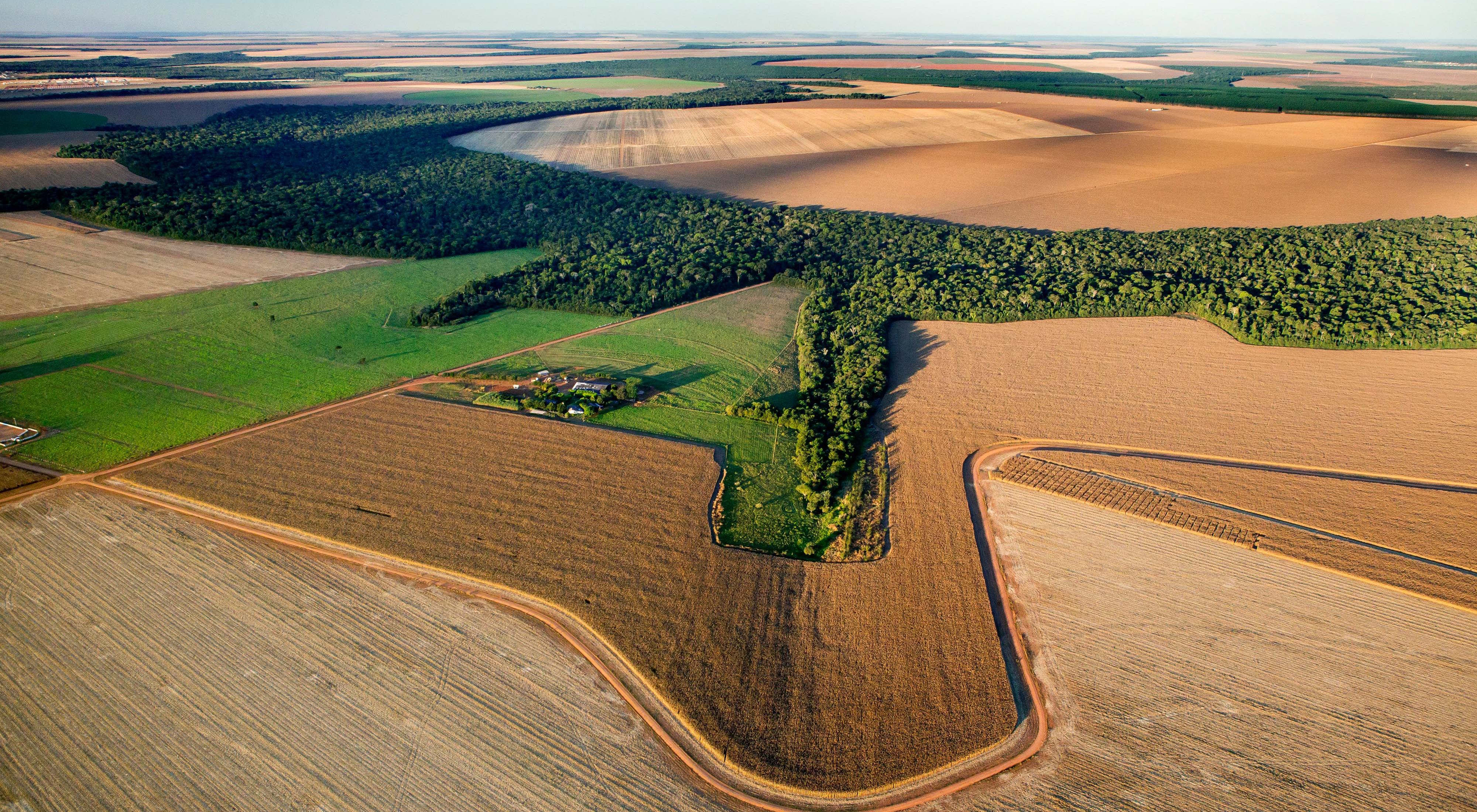 Imagem aérea de produção de soja no Cerrado do Mato Grosso.