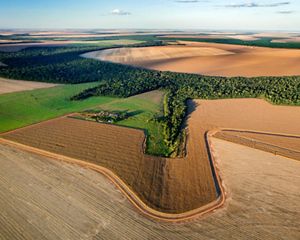 Imagem aérea de produção de soja no Cerrado do Mato Grosso.