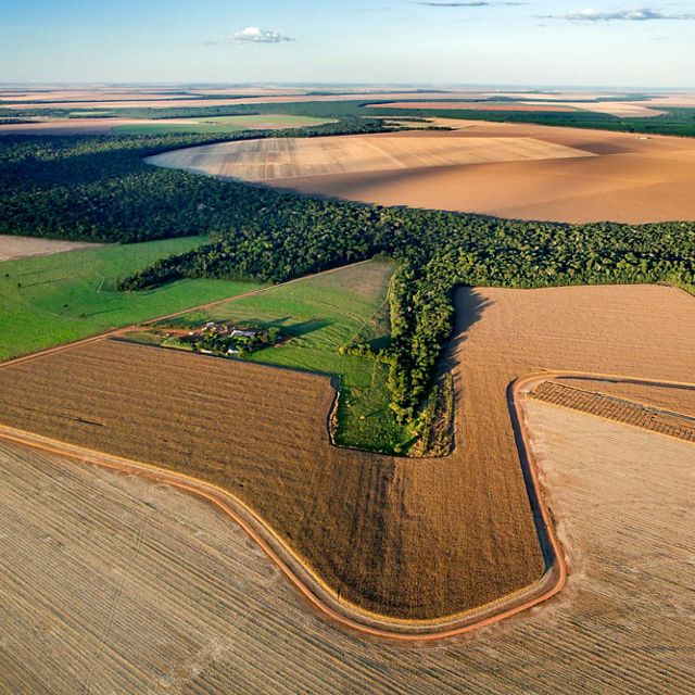 Imagem aérea de produção de soja no Cerrado do Mato Grosso.