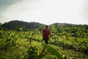Produtora rural caminhando em meio a área de plantio em agroflorestas.