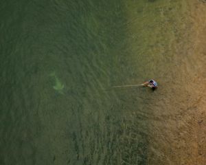 Boto do Araguaia (Inia araguaiaensis) nadando próximo a um pescador tradicional que usa uma vara de bambu fisgar peixes no Rio Tocantins, em Imperatriz-MA.