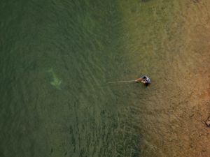 Boto do Araguaia (Inia araguaiaensis) nadando próximo a um pescador tradicional que usa uma vara de bambu fisgar peixes no Rio Tocantins, em Imperatriz-MA.