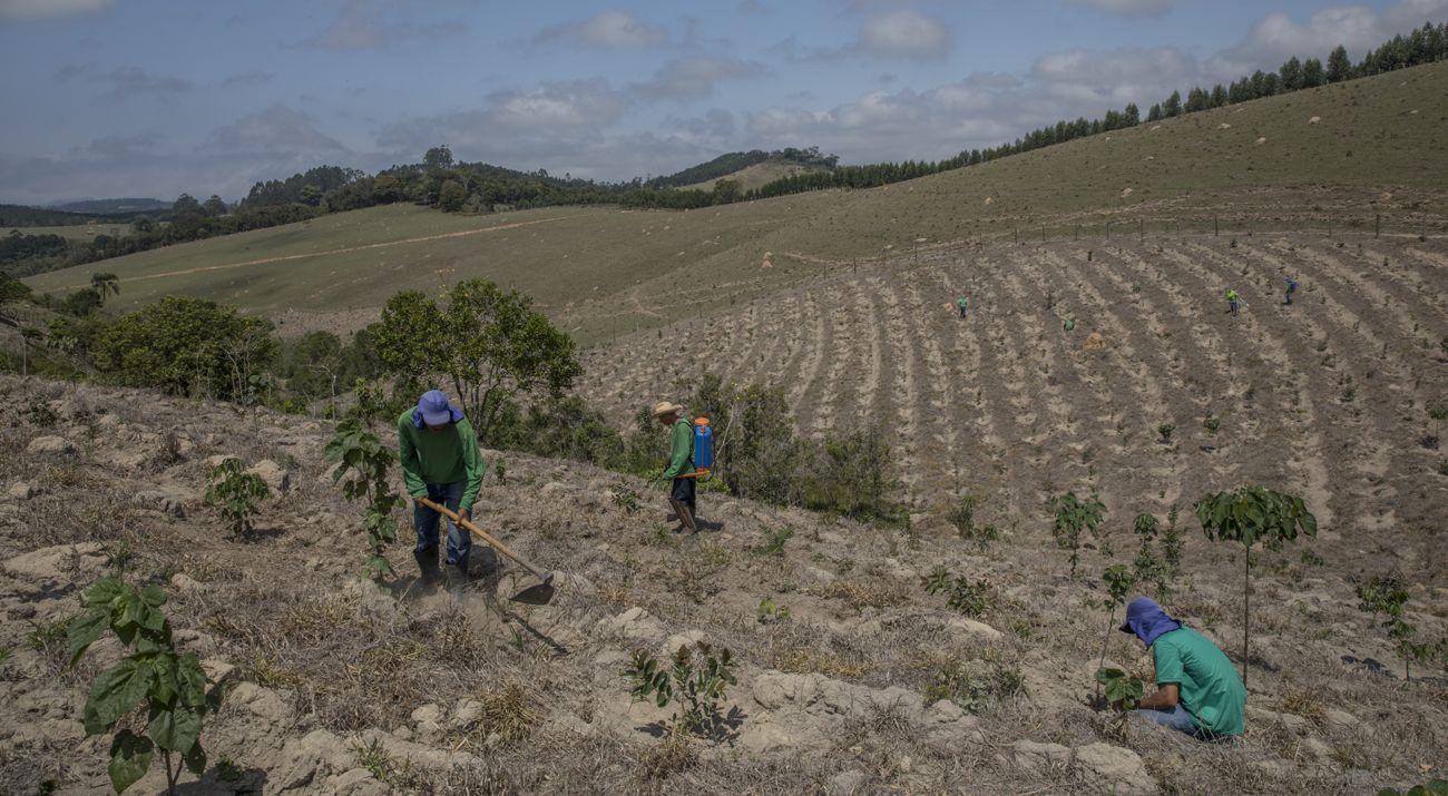 Pessoas trabalhando na manutenção de área de restauração.