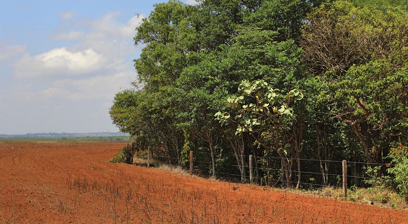 Vista aérea de produção de soja.