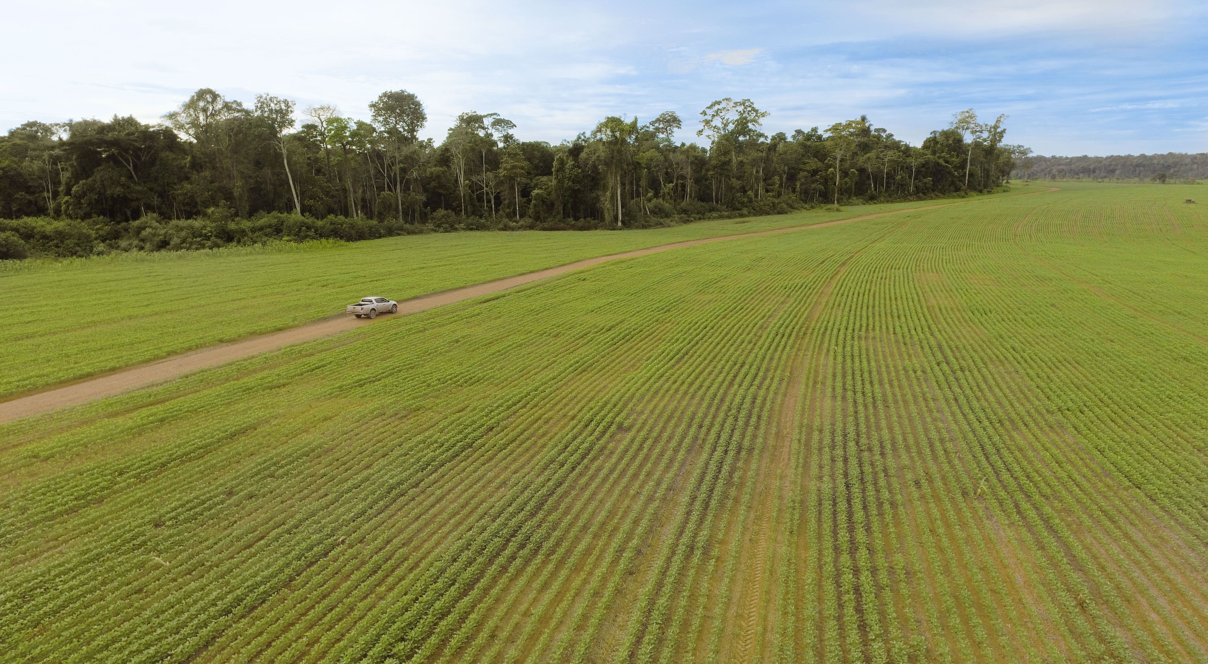 Imagem aérea de plantação de soja e área de preservação permanente no município de Belterra, no oeste Pará.