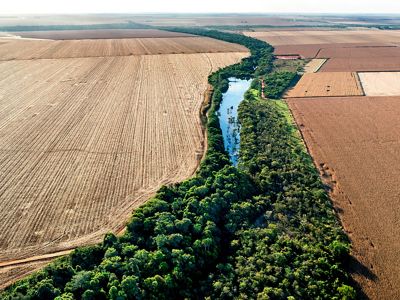 Área protegida em margem de curso de água entre duas propriedades rurais de Lucas do Rio Verde-MT.