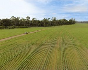 Carro em plantação de soja em Belterra-PA