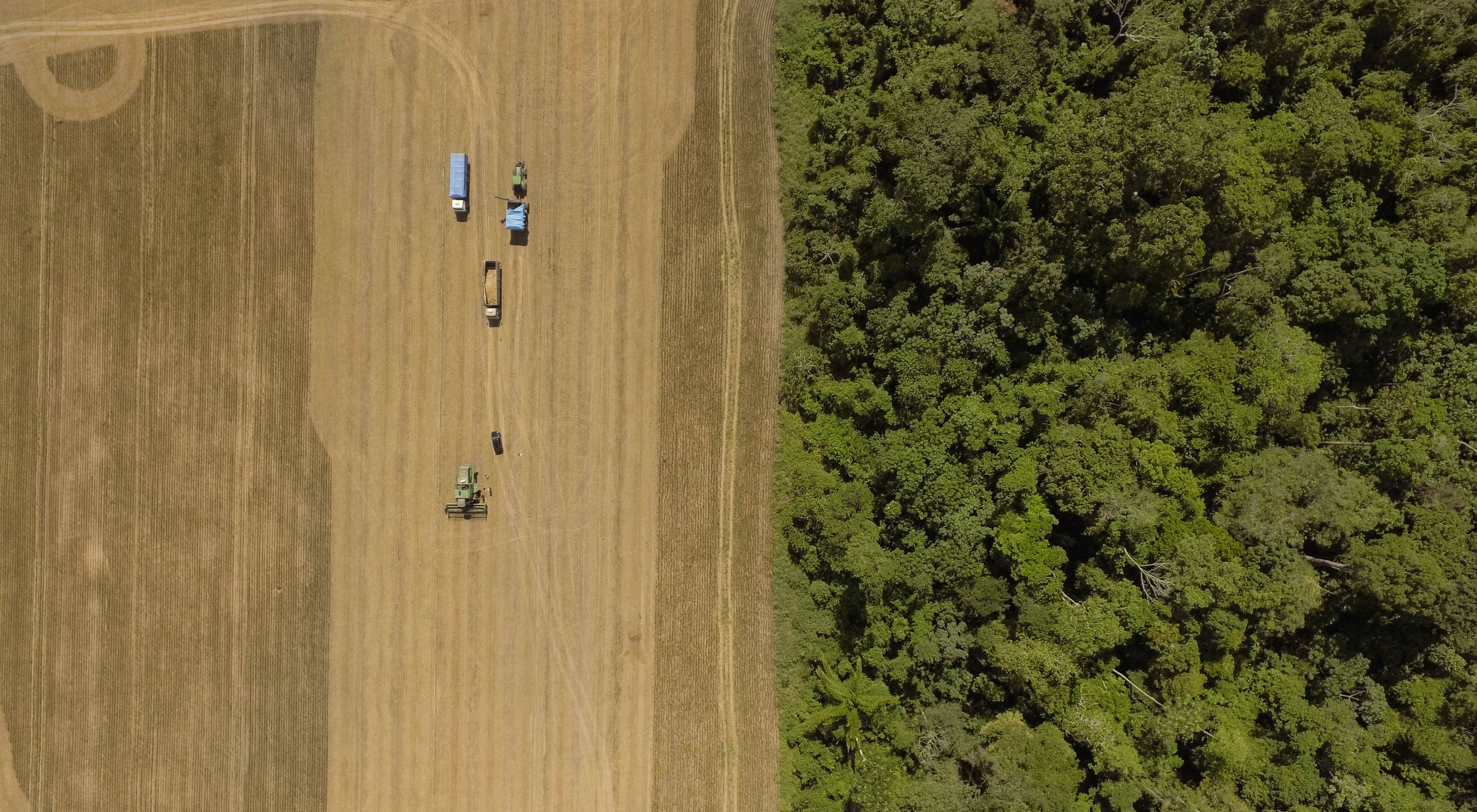 Imagem captada por drone de uma colheita de soja em Santarém - PA.