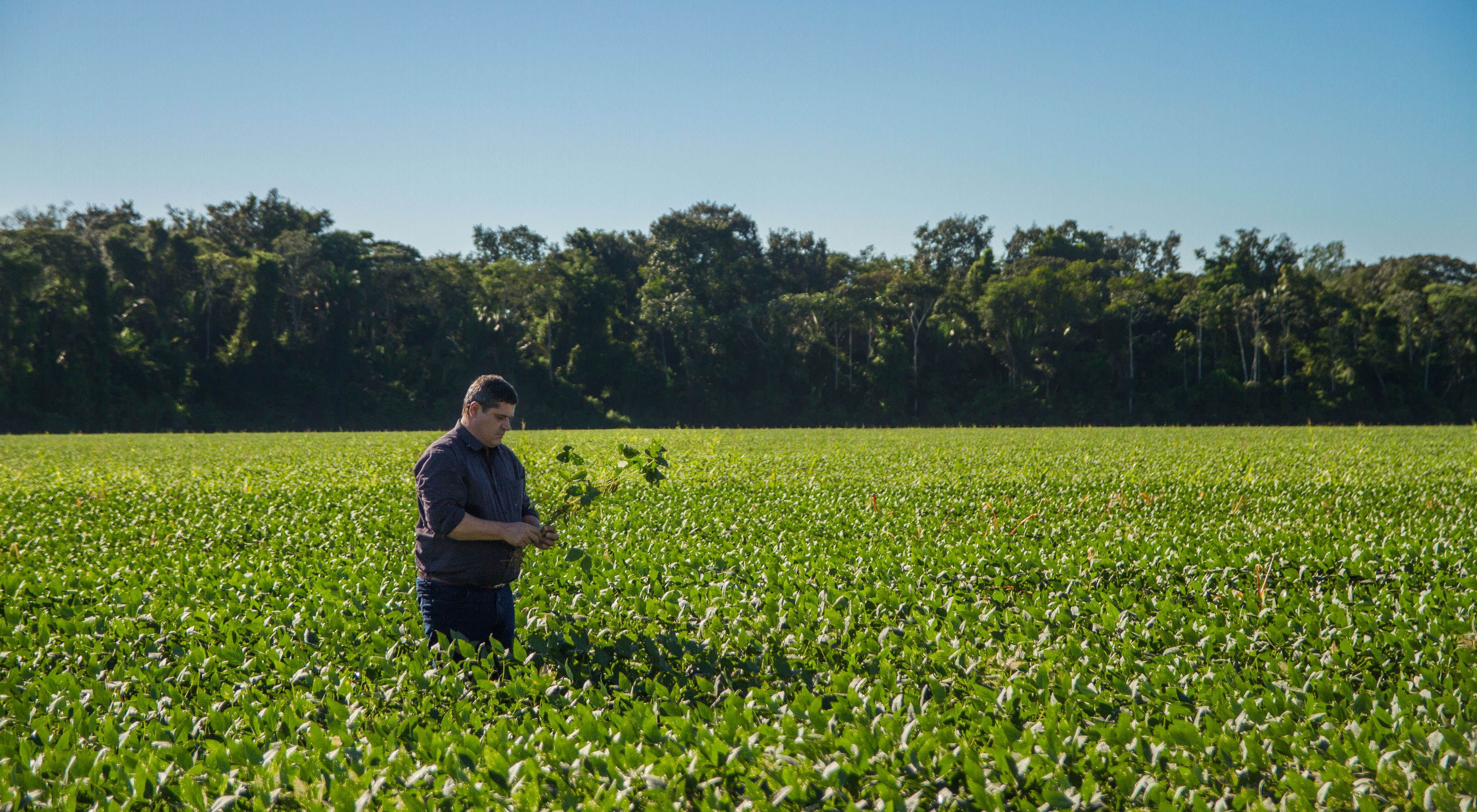 Pio Stefanello, produtor parceiro da TNC em um campo de soja em Santarém, Pará.